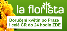 online-kvetiny.cz